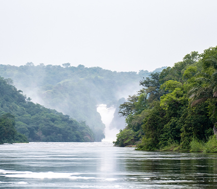 When Is the Best Time to Visit Uganda?