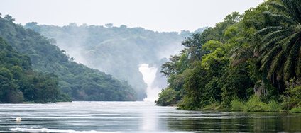 Dynamic Content Image